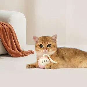 Jouet intelligent automatique pour chat, balle sautante, auto-interactive, électrique et rotative, USB, balle sautante roulante pour chat et chien