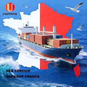 Logistique de pointe pour la France |   Partenaire fiable DDU et DDP - Product Image 1