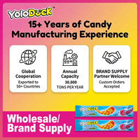Yoloduck – Prix usine compétitif – Bonbons gélifiés en corde arc-en-ciel Halal en vrac