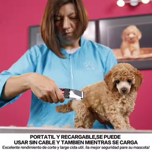Alat cukur hewan peliharaan nirkabel, Kit pencukur perawatan elektrik, pemangkas rambut anjing dapat diisi ulang kebisingan rendah - Product Image 2