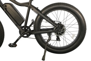 Greenpedel Wholesale CE Certification <strong>Retro</strong> 36v 250w 500w Electric Bicycle <strong>E</strong> Bike - Product Image 6