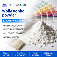 Poudre de Wollastonite Ultrafine 1250 Mesh, Remplissage Minéral Blanc pour Matériaux de Friction et Plaquettes de Frein