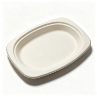 Assiette ovale personnalisable en bagasse OEM ODM, compostable, en canne à sucre, jetable, taille et logo sur mesure pour la restauration en gros