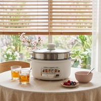 Poêle Électrique Multifonctionnelle en Acier Inoxydable, Cuiseur Vapeur 4L Antiadhésif, Marmite Chauffante à Contrôle Mécanique, Protection Contre la Cuisson à Sec, Usage Domestique