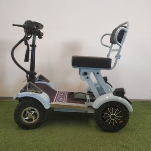 El más nuevo triciclo eléctrico sin escobillas Parable 3 ruedas Scooter eléctrico para adultos mayores - Product Image 4