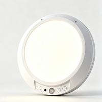 Lumière LED à détecteur de mouvement magnétique détachable facilement, rechargeable, à intensité variable, 3CCT, télécommande pour escaliers, couloir, placard