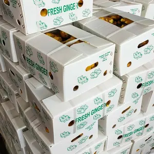 New jahe Fresh Ginger Großhandel Dry Ginger In Bulk von chinesischen Ingwer Lieferanten für den Export