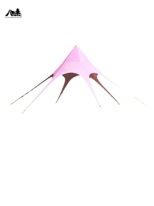 <span class=keywords><strong>Toldo</strong></span> de Camping YX-A2-13 Cyber Celebrity con Impermeabilidad de 3000 mm - Product Image 2