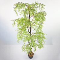 Plante artificielle Nandina Willow luxurante en pot avec tige hautement réaliste pour la décoration de la maison, du jardin, de l'hôtel, du bureau, du couloir, du centre commercial