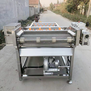 Machine à laver automatique commerciale de légume de nourriture d'équipement de nettoyage de bulle d'air de fruits et légumes avec le composant de pompe de noyau - Product Image 5