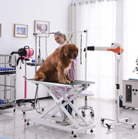 Table de toilettage pour chien avec bras