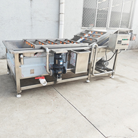 YOUBAN Commerciële Bubbelwasmachine Industriële Groente- en Fruitreinigingsmachine Met Ozon Desinfectiefunctie