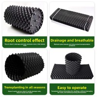 Pots de jardin auto-aménageables D5832 avec poignées et bases, pots de pépinière pour légumes, conteneurs à élagage aérien, contrôleur de racines