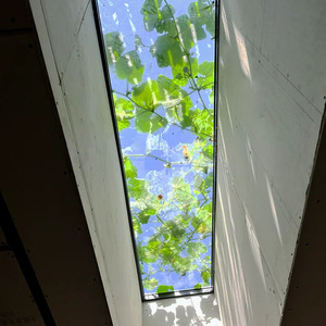 Fenêtre <span class=keywords><strong>de</strong></span> <span class=keywords><strong>toit</strong></span> en aluminium sur mesure à rupture <span class=keywords><strong>de</strong></span> pont thermique, double vitrage, pour ventilation <span class=keywords><strong>de</strong></span> grenier, conception écoénergétique - Product Image 3