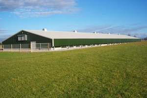 Structure en acier de construction, système de maison fermée pour volaille avec ensemble complet de poulet automatique élevage de volaille - Product Image 3