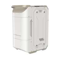Portable 12L chauffe-eau à gaz naturel thermostatique RV Camping douche pour l'exportation du commerce extérieur