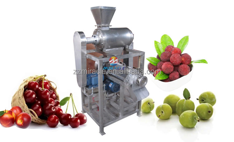 Industrial juice making machine fruit juicer watermelon seeds