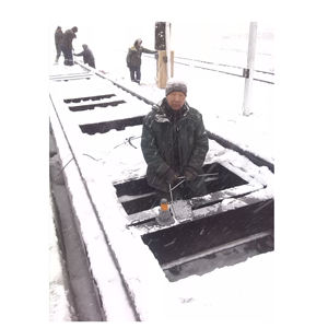 वैगन रेलवे पैमाने के लिए बिक्री - Product Image 4