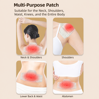 Patch de Moxibustion Personnalisé en Usine, Authentique Qiai Mugwort, Auto-Chauffant pour Épaules, Cou, Taille, Relaxation Quotidienne, Soin Thermique Corporel