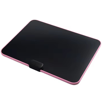 Tampons d'écriture LCD numériques magnétiques à tableau détachable rechargeable pour entreprises de 20 pouces