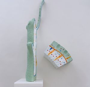 Biologie-Unterricht Hydra Strukturmodelle Anatomisches Zoologie-Modell für die Mittelschule - Product Image 4