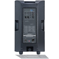 Système de sonorisation portable avec caisson de basses de 15 pouces 2000W, ensembles de karaoké sans fil professionnels, système de haut-parleurs PA, fonction DSP, boîte à son, Bocina Parlant