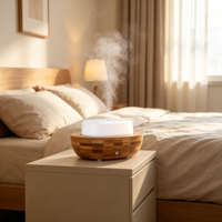 Diffuseur d'huiles essentielles à ultrasons, humidificateur à brume froide, décoratif, multifonctionnel, aromathérapie d'intérieur, machine à parfum
