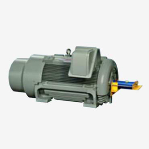 Motor de CA Teco de 160 kW, Motor de Inducción Trifásico Teco - Product Image 2