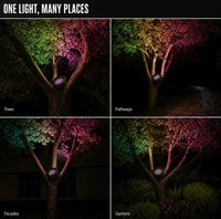 DMX512 RGB LED Vogelnest-Licht 36W DC24V IP66 Wasserdichtes Außenbeleuchtungs-Baumlicht für Garten, Plaza, Innenhof, Resort-Eingang