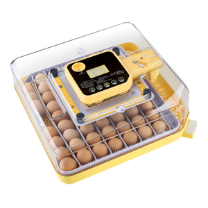 Incubateur d'œufs carré 2026 en promotion depuis l'entrepôt américain : contrôle précis de la température, contrôle intelligent de l'humidité, retournement automatique des œufs - Product Image 1