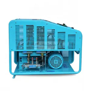 Custom Wholesale Suppliers Oil Free Oxygen Compressor Oil Free Oxygen Booster O2 Compressor(Gow-3/4-150)