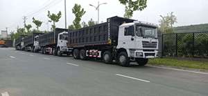 รถบรรทุกดั๊มพ์ Shacman 8x4 12 ล้อ 451-500 แรงม้า ดีเซล สำหรับงานหนัก ขนส่งวิศวกรรม - Product Image 5