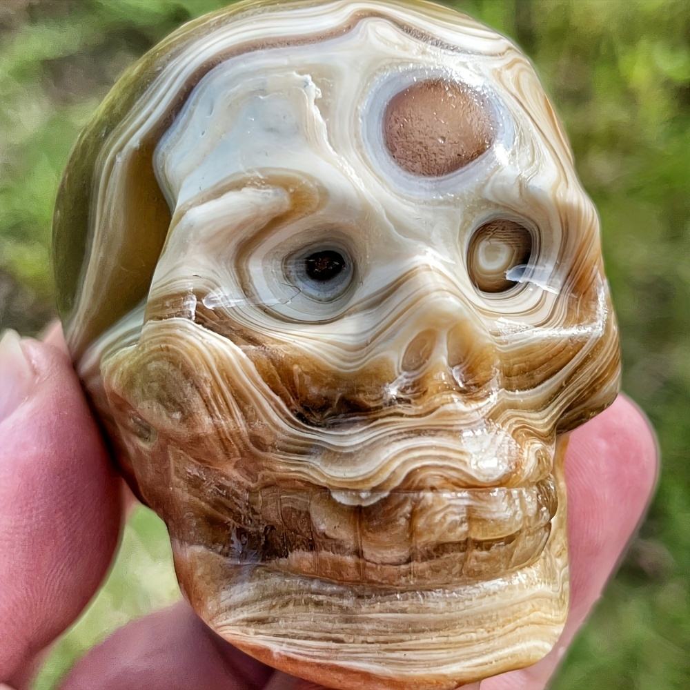 กะโหลกแคลไซต์สีเหลืองอำพัน