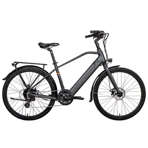 26 дюймов ebike 250 Вт для взрослых новый стиль Электрический Снежный велосипед для женщин 36 В 10,5 А