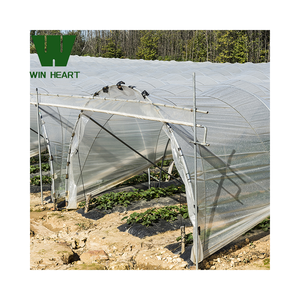 Invernadero Tipo Túnel de un Solo Tramo Resistente al Viento para Cultivadores del Medio Oriente - Product Image 5