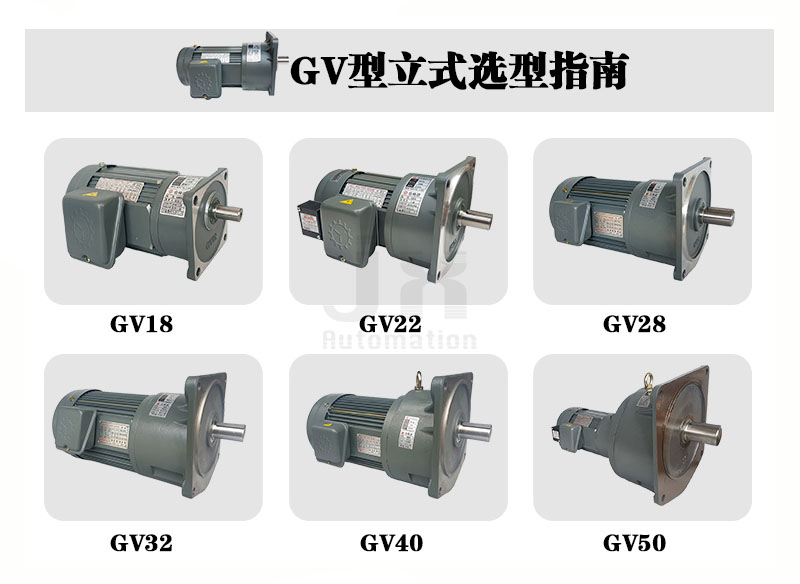 GV-18 Vertical Gear Reduction Motor - 220/380V Three-phase