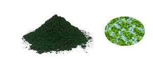 ผงเกลือโซเดียมคอปเปอร์คลอโรฟิลล์สีธรรมชาติที่ละลายน้ำได้เกรดอาหารบริสุทธิ์ - Product Image 2