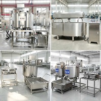 Petite Machine Automatique de Fabrication de Fromage, Équipement de Pressage de Fromage, Presse à Cuve pour Mozzarella, Machine à Fabriquer du Fromage