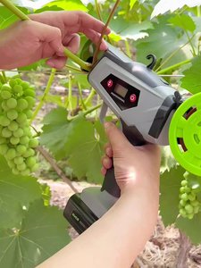 Máquina Eléctrica Portátil para Atar Plantas, con Batería, para Atar Vegetales, Uvas, Ramas y Enredaderas - Product Image 3