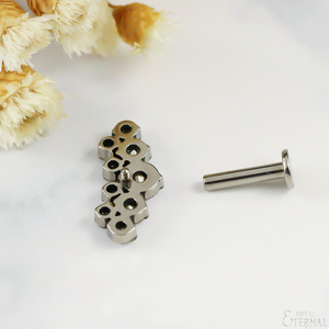 <span class=keywords><strong>Piercing</strong></span> pour les lèvres en titane de qualité médicale ASTM F136 éternel - Product Image 2