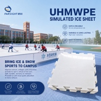 Panneaux de glace synthétique UHMWPE antidérapants, plaques de patinoire artificielle, patinoire sans joint, sans interstice