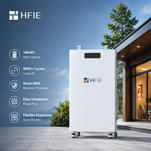 Système de stockage d'énergie solaire domestique mural HFIE pour batterie 51,2 V 314 Ah, pack 16 kWh, IP65, CAN, BMS hybride - Product Image 1