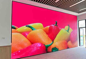 Indoor LED display <b>screens</b> and TV <b>walls</b> can be customized in size and come with a warranty - Product Image 2
