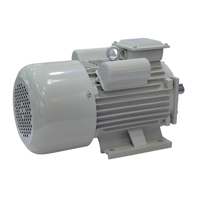 YC-100L-2 IEC 50Hz 60Hz 220V 2.2kw 3hp 3000rpm Asynchronous Induction Single Phase AC Electric Motor