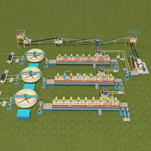 Set completo rettificatrice di flottazione 100TPD per impianto di processo di separazione del minerale di fosforo