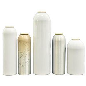 Atacado Fabricante Alumínio Vazio Aerossol Spray Lata para Skincare Beleza Embalagem 20ml 50ml 100ml 120ml 250ml Perfume - Product Image 5