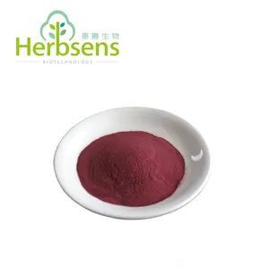 Factory Supply 100% Natural Blackberries powder Blackberries Juice powder