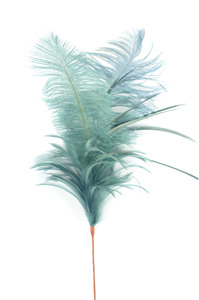 Tallo de pluma de avestruz teñida al por mayor de 2017 Plumas de avestruz decorativas para fiesta - Product Image 5