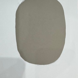 Polvo de Aleación de Níquel ASTM B472 HASTELLOY D205 UNS N08205, Polvo para Impresión 3D y Revestimiento Láser - Product Image 3