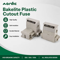 AORDIC – Disjoncteur de protection basse tension 1P de haute qualité pour usage domestique, 60A, 80A, 100A